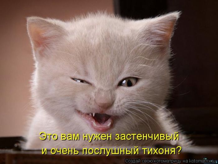 http://img0.liveinternet.ru/images/attach/c/9/106/173/106173420_large_5402287_1381451795_128.jpg