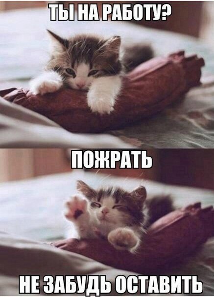 4325747_FdzjRa7FZ_8 (437x604, 52Kb)