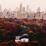 tumblr_murhd4DCVq1rgunsqo1_250 (160x160, 50Kb)