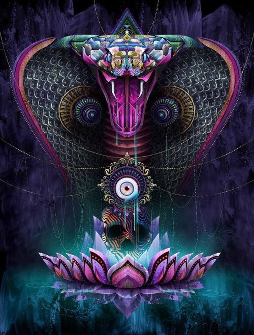 3623822_cs5 (500x659, 112Kb)