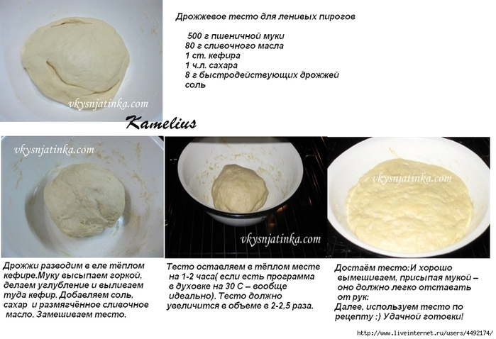 104458578_large_Drozhzhevoe_testo_dlya_lenivuyh_pirogov (1) (700x478, 176Kb)