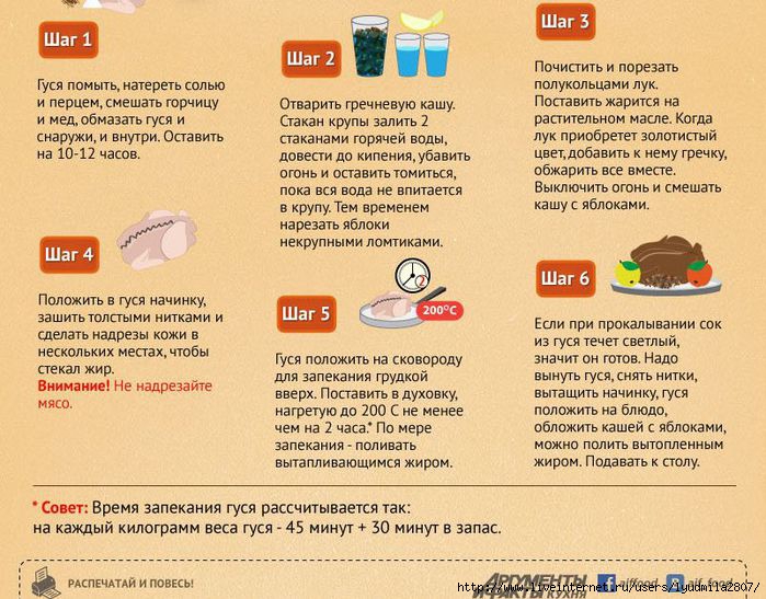 Можно ли смешивать кашу с кормом для кошек