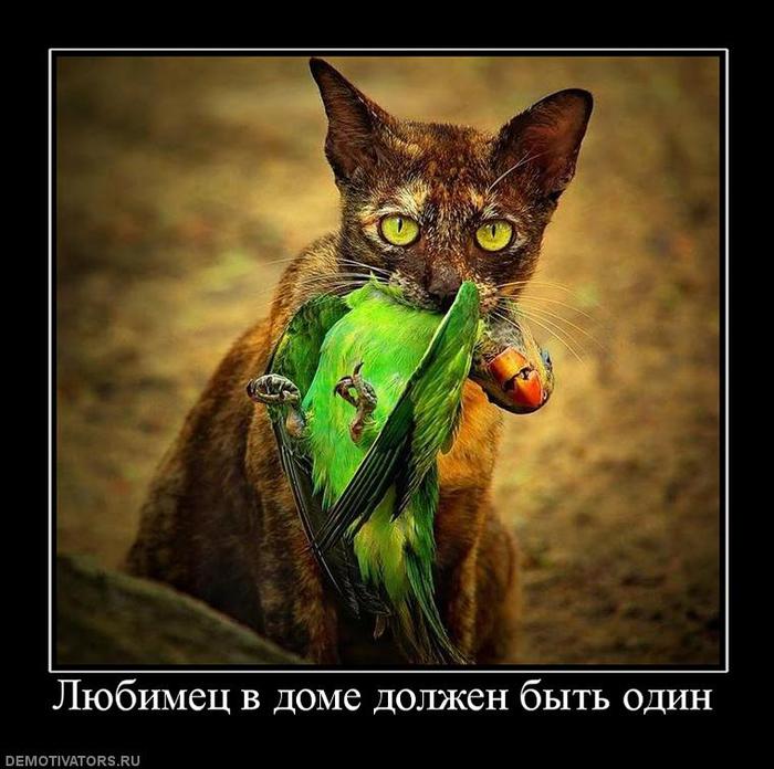 5402287_00224774 (700x696, 66Kb)