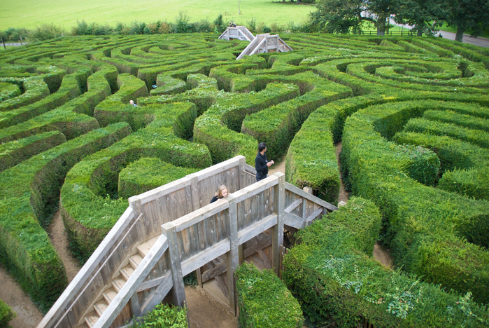 longleat-maze1 (700x468, 569Kb)