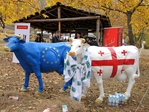 Превью IMG_0032 (700x525, 433Kb)