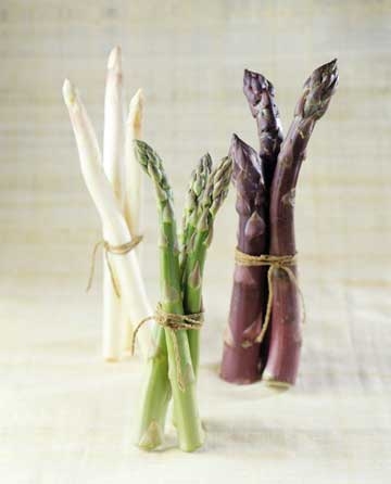 asparagus-stems-white-green-purple-plus-history-storage-wediningca (360x446, 50Kb)