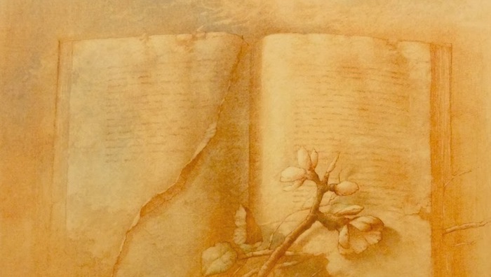 3623822_m31 (700x396, 65Kb)