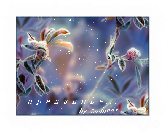 3427527_predzime (560x448, 506Kb)