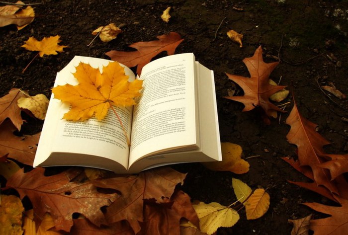 104583018_literaturnajaosen (700x473, 80Kb)