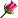 rose (18x18, 0Kb)