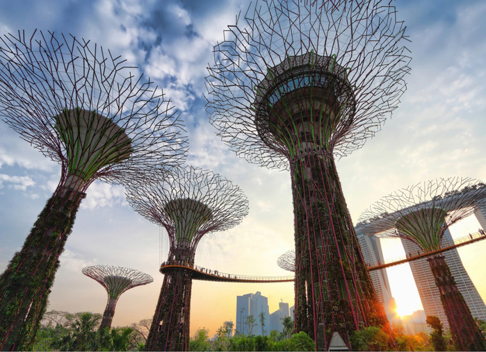 3623822_VM_singapore4groot (700x507, 212Kb)