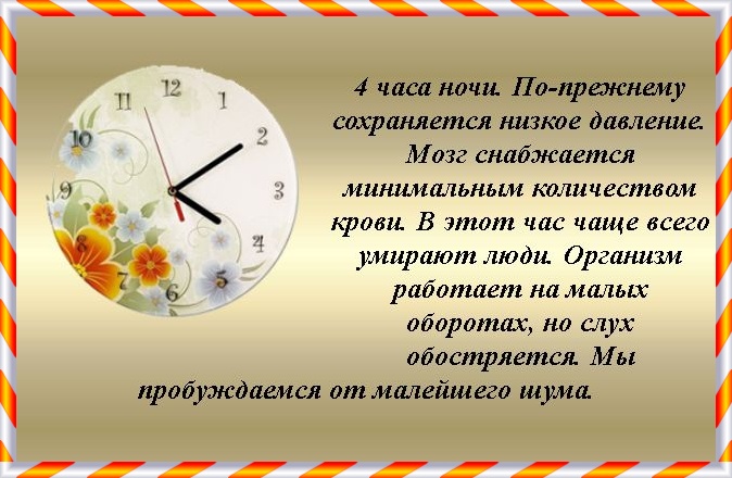 28 часов. Сообщение о биологических часах. Биологические часы для детей. Биологические часы 6 класс биология. Проект биоритмы внутренние часы.