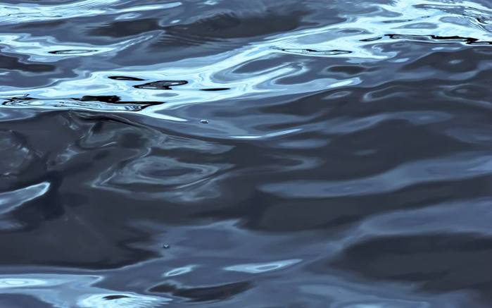 1380778_709767599053444_1439892744_n (700x437, 33Kb)