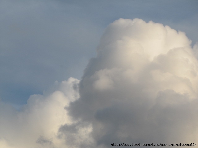 IMG_3549 (640x480, 92Kb)