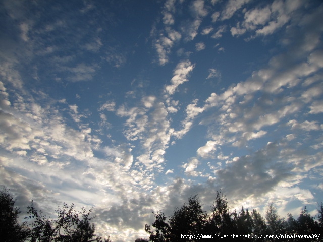 IMG_3731 (640x480, 194Kb)
