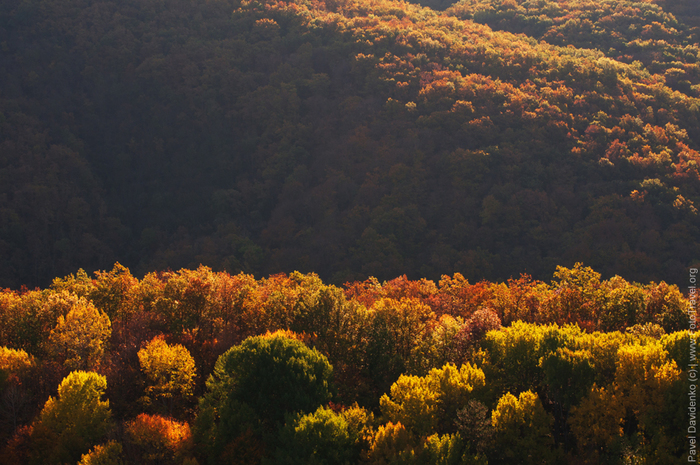 3571750_autumn_view_dsc_0246 (700x465, 420Kb)