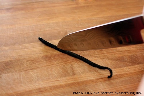 vanilla_bean_knife_cut-500x333 (500x333, 86Kb)