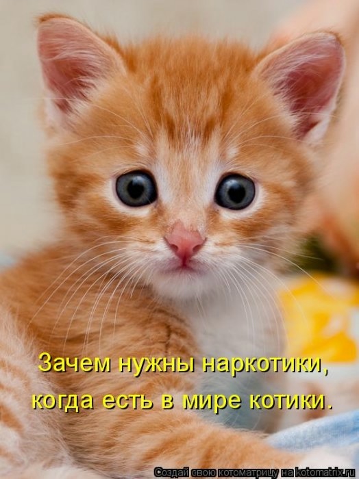 http://img0.liveinternet.ru/images/attach/c/9/106/467/106467964_106408082_large_16.jpg