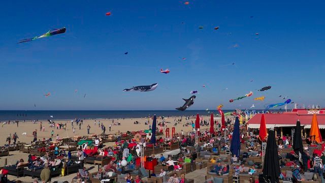 3623822_P1080656 (640x360, 42Kb)