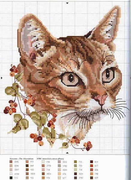 9WGftsDBE9U (437x600, 46Kb)