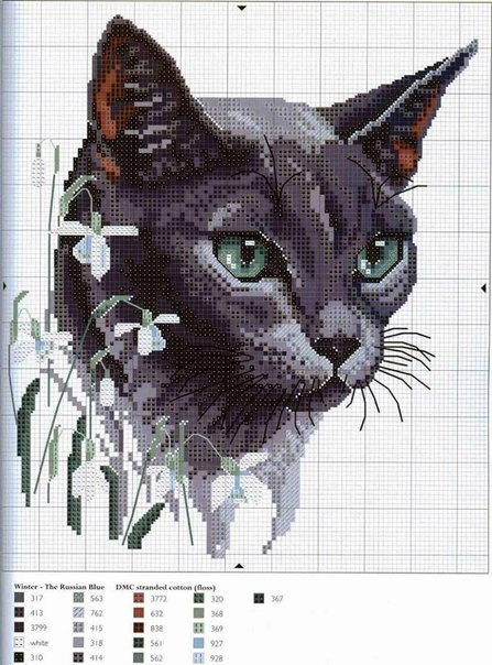 CT1rKTSmgys (447x604, 83Kb)