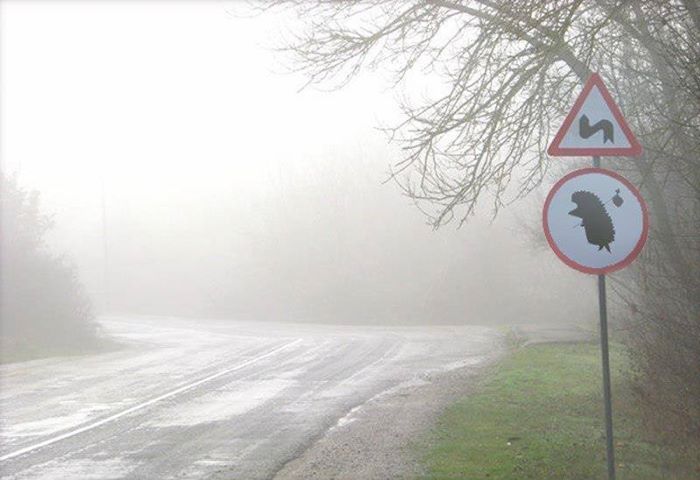 1377098_528131303940916_1539119499_n (700x480, 43Kb)