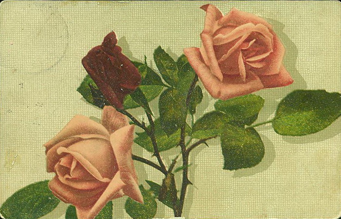 1�3 (700x450, 161Kb)