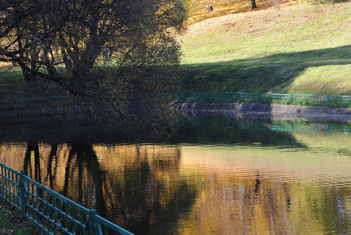 DSC_1081 (700x469, 289Kb)