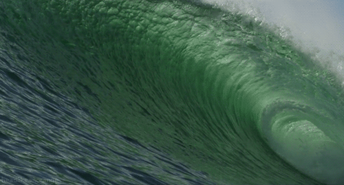 3623822_f2 (500x269, 1013Kb)