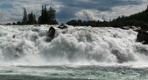 3623822_f_11 (500x269, 1020Kb)