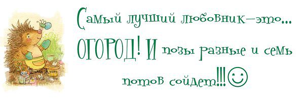Картинки самый лучший любовник это огород и позы разные и семь потов сойдет