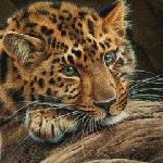 4360286_99px_ru_avatar_69331_leopard (150x150, 59Kb)