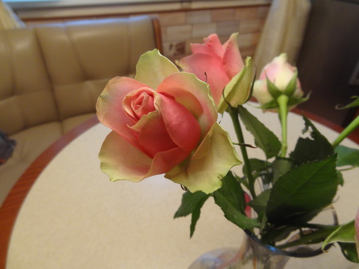DSC08494 (700x525, 90Kb)