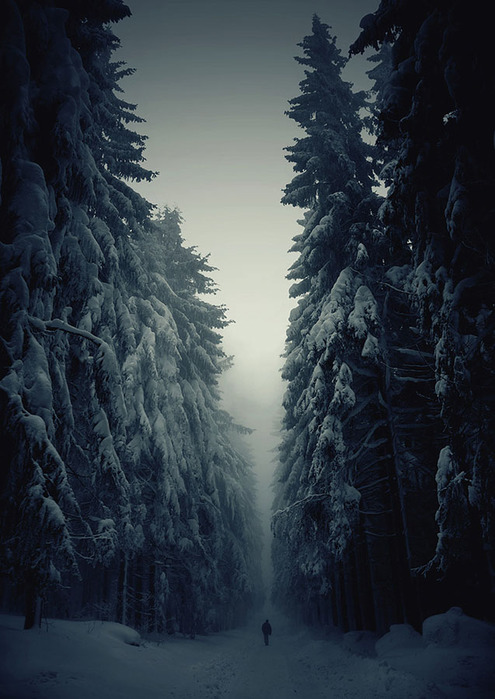 1381755345_GorgeousWinterLandscapes1 (495x700, 110Kb)