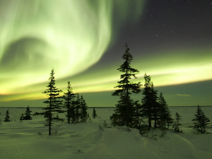 Image_0437.Manitoba.Churchill.The_Northern_Lights_in_Winter (700x525, 230Kb)