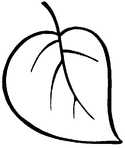 5252558_4_2_ (432x510, 34Kb)
