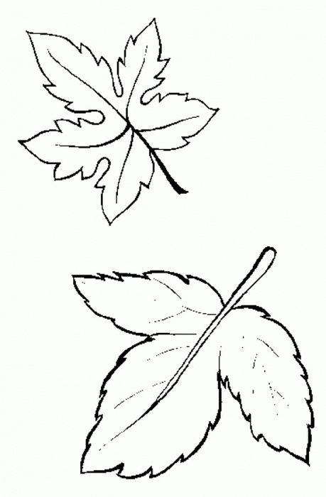 5252558_10 (459x700, 64Kb)