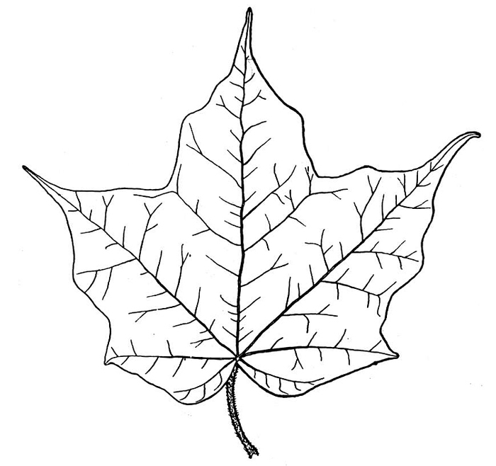 5252558_12 (700x658, 111Kb)