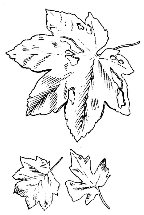 5252558_14 (469x700, 82Kb)
