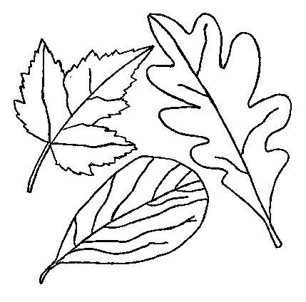 5252558_21 (429x424, 55Kb)