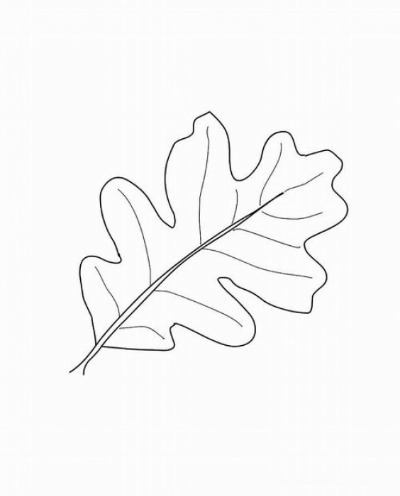 5252558_28 (564x700, 129Kb)