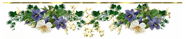 00 (367x78, 49Kb)