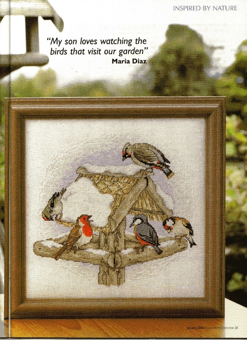 Cross Stitch Collection issue 126  021 (508x700, 328Kb)