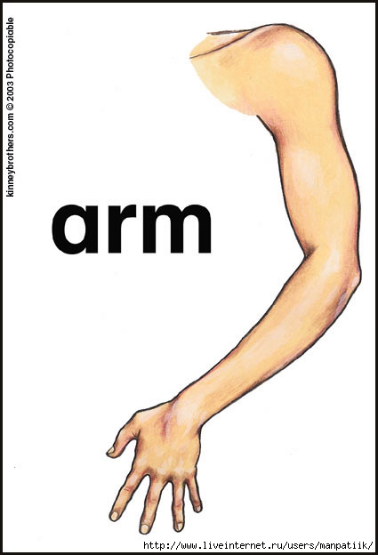 115404740451592751 (425x624, 74Kb)