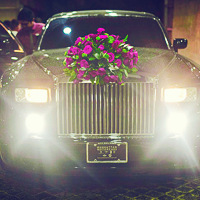 MonacoPrincessWedding (17) (200x200, 82Kb)