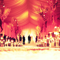 MonacoPrincessWedding (139) (200x200, 84Kb)
