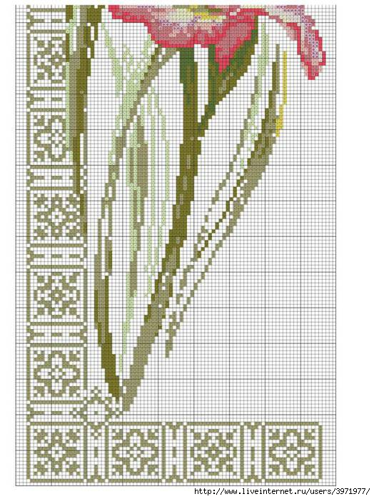 Вышивка крестом гладиолусы схемы