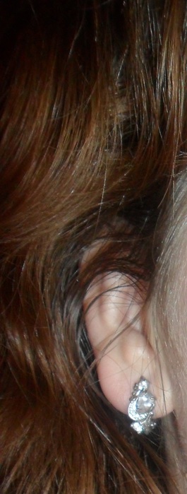 1383414964_SAM_4728 (265x700, 59Kb)