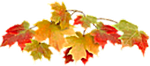 3869930_f0a844dcbf9e_2_ (150x66, 20Kb)