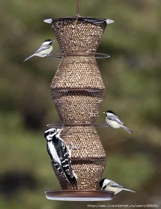 кормушка Duncraft-Bird Feeders7, на 5кг, 20х50см (538x700, 238Kb)